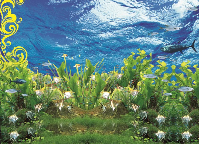 Yb 2709